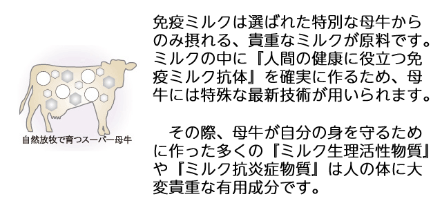 サステナは選ばれた特別な母牛からのみ摂れる、貴重なミルクが原料です。ミルクの中に『人間の健康に役立つ免疫抗体』を確実に作るため、母牛には特殊な最新技術が用いられます。その際、母牛が自分の身を守るために作った多くの『生理活性物質』や『抗炎症物質』は人の体にも有効な大変貴重な成分です。 
